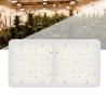 Buy cheap High Efficiency Agriculture Led Lights ,Cannabis Growing Led Lights Low Heat from wholesalers