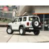 Buy cheap Gasoline Great Wall Tank 300 Four Wheel Drive Off Road Vehicle from wholesalers