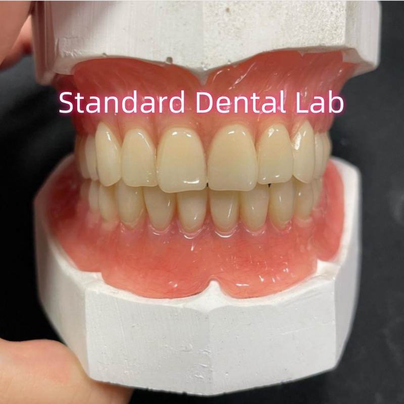 Full Upper And Lower Stayplate Acrylic Partial Dentures Ivoclar Teeth Pink Gum
