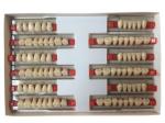 Fake Resin Teeth Composite Resin Denture Teeth Top Hard 3 Layers