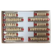 Buy cheap Acrylic Resin Denture Teeth Set Repair Surfaces 2 Layers Super Hard Synthetic product