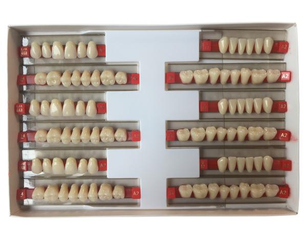 Buy cheap High Wear Resistance Dental Acrylic Resin Teeth For Biocompatibility from wholesalers