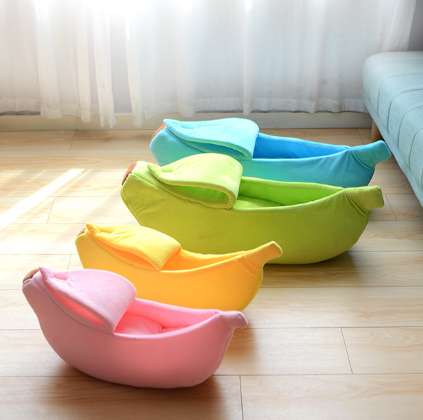 best bed for french bulldog