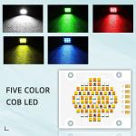 180W Five Color COB LED Chips CCT 620nm/460nm/520nm/2700K /6500K Emit Size 32MM