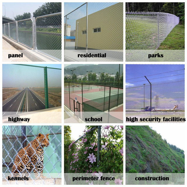 Hot Sale Chain Link Fence for Playground Park / Forest Protecting