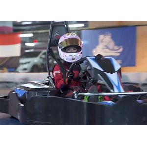 Wholesale S EVKART Professional Electrical Go Kart ECU Control OEM ODM from china suppliers