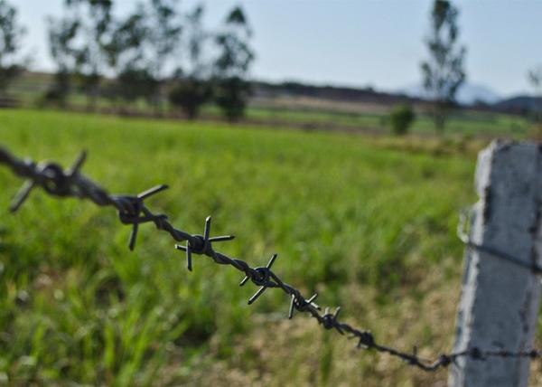Buy cheap Construction Protection Galvanized/Galvanized Barbed Wire Price Per Roll from wholesalers