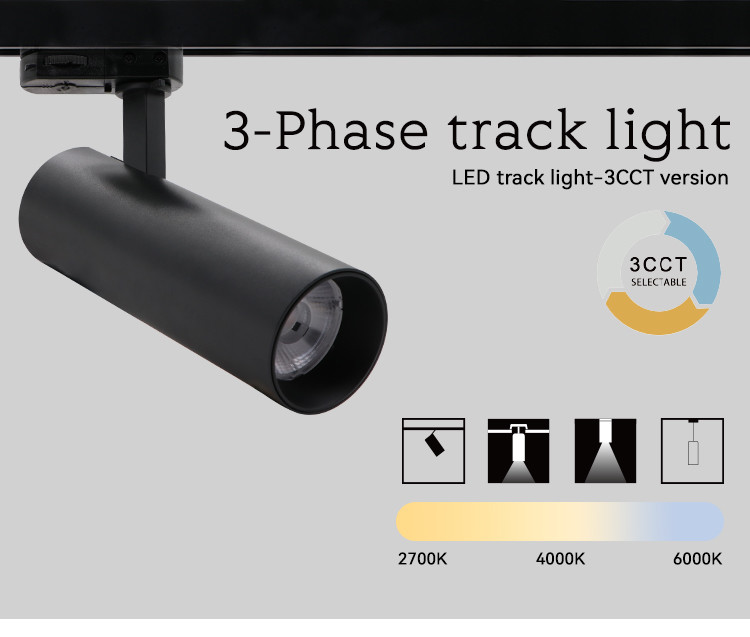 15W 220V Dimmable Track Light 3CCT Switchable Single Spotlight Black 3 Phase