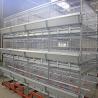 Buy cheap H Type 500cm2 Meat Chicken Cage , ISO9001 3/4 Tiers Broiler Poultry Equipment from wholesalers