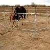 Buy cheap Pvc Coated Strong Steel Pipe 60mm Cattle Corral Panels from wholesalers