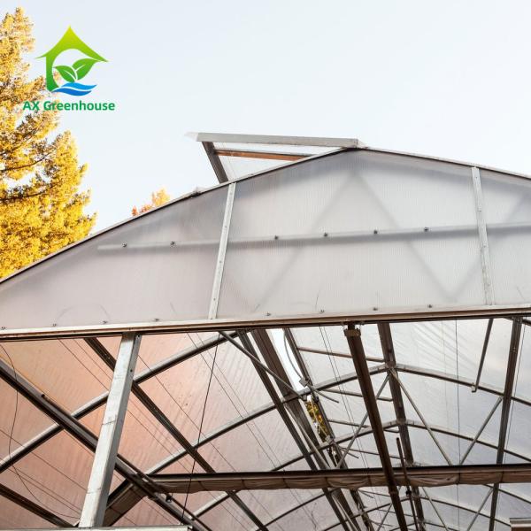 Buy cheap Vertical Farming Clear Polycarbonate Greenhouse 3m To 7m Height from wholesalers