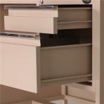 Fashionable Modern Executive Desk For School Hospital Office