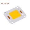 Buy cheap 1200mA GL 4046 2424 50w 100w cri80 Floodlight COB Chip from wholesalers