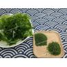 Buy cheap Green Algae Powder Sea Lettuce Seaweed Vitamin And Mineral Rich Sprinkle from wholesalers