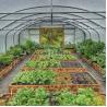 Buy cheap Multi-Span Commercial Greenhouse Hydroponic Growing System for Fruits and Vegetables from wholesalers