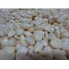 Buy cheap IQF frozen garlic cloves with BRC certificate from wholesalers
