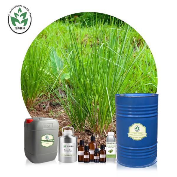 Buy cheap Cas 8007 02 1 Wholesale price Pure natural Organic Lemon Grass oil For Aromatherapy from wholesalers