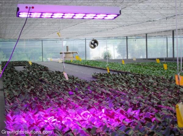 Buy cheap Cidly LED 18 Grow Light Garden Light LED Plant Light 650W from wholesalers