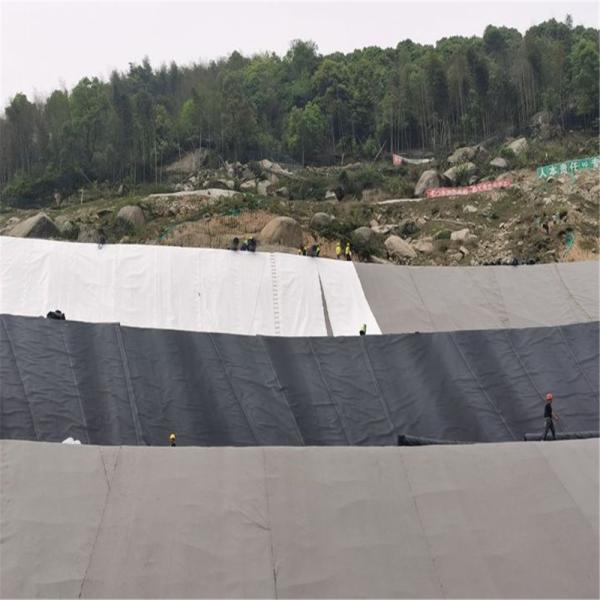 Contemporary Design HDPE Geomembrane Waterproof for Biogas Digester Earthwork