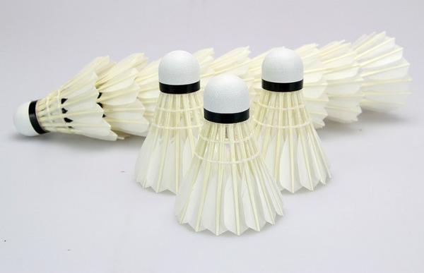 Buy cheap shuttlecock from wholesalers
