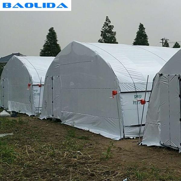 Buy cheap Off Season Tunnel Plastic Film Greenhouse Mushroom Greenhouse from wholesalers