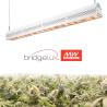 Buy cheap IP67 Waterproof LED Grow Lights Passive Cooling Hanging With Ceiling Rope from wholesalers