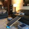 Buy cheap Zoopollo Wooden Folding Pet Ramps For Couch Bed Car Anti Slip Bed Ramp For Dogs from wholesalers