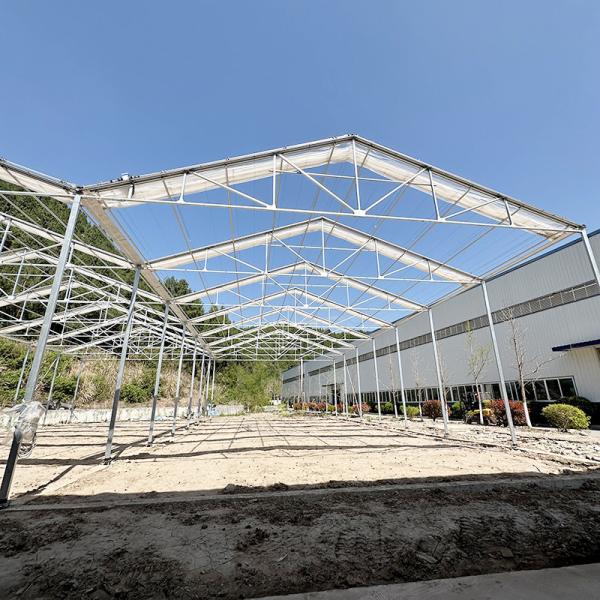 Hot Galvanized Steel Structure Tomato Plastic Film Retractable Roof Agricultural