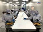Dried Vegetable Processing Production Line Energy-saving Environmentally