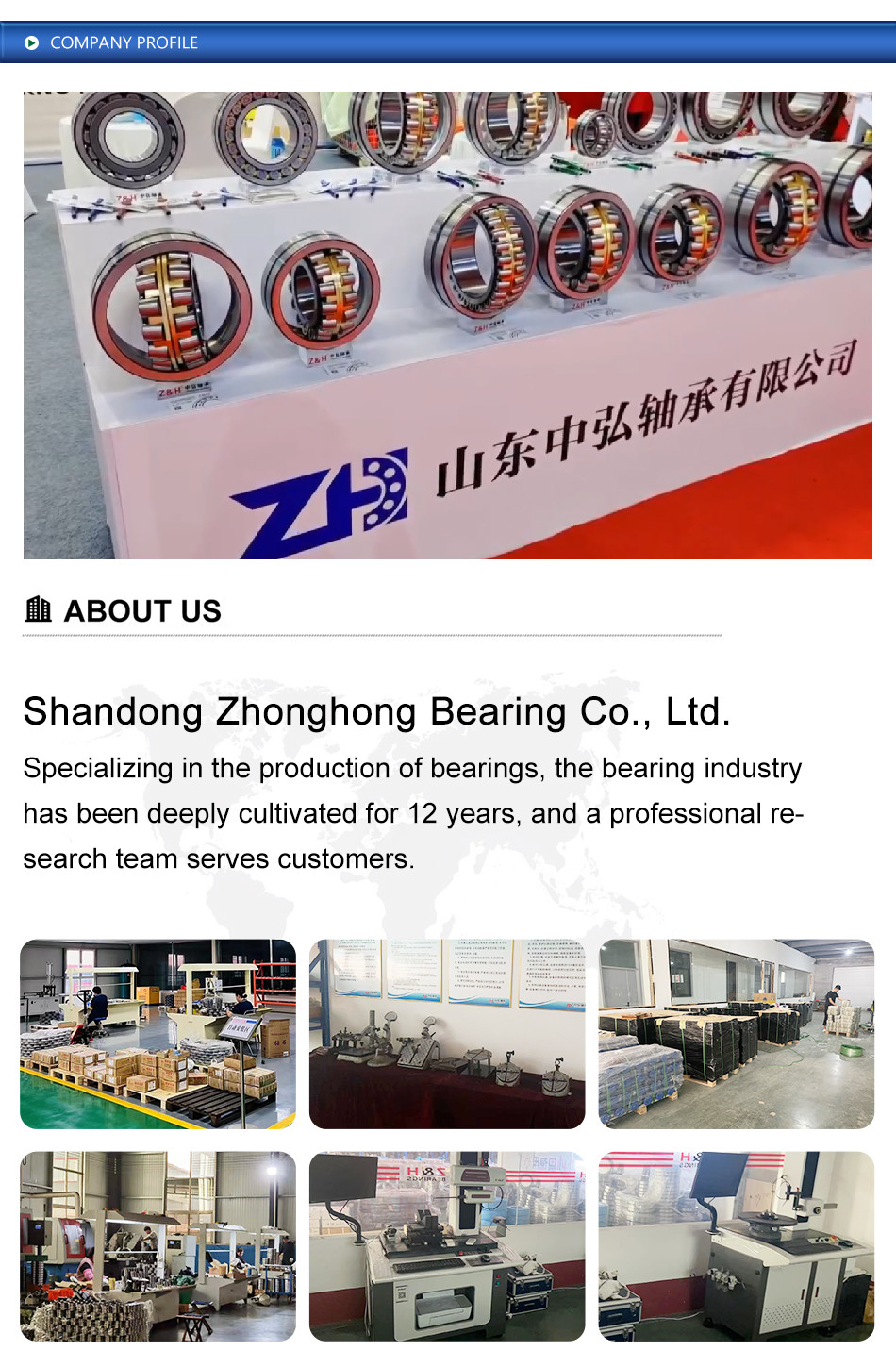 6205-2RS Deep Groove Ball Bearing With Professional Service And Technical Support