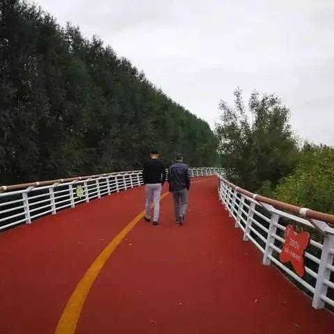 Infilled Rubber Jogging Track 3.5mm EPDM Granules Colorful Outdoor Rubber