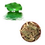 50% Lotus Leaf Extract Powder Nuciferine Lose Weight Eliminate Heat Stroke