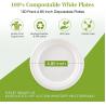 Buy cheap 100% Compostable 10 Inch Paper Plates, Heavy Duty Paper Plates, Disposable Biodegradable Eco-Friendly Sugarcane from wholesalers