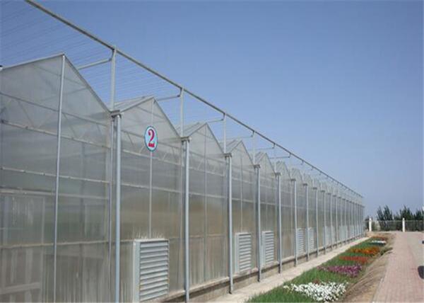 Buy cheap High Transparency PC Sheet Greenhouse Large Size Good Heat Preservation Performance from wholesalers