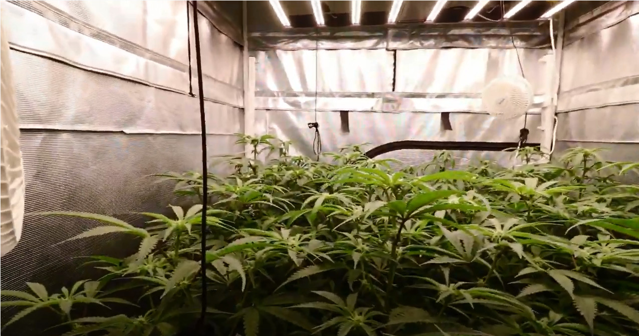 High PPFD 3.1umol/J 1000Watt UV Grow Light