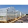 Buy cheap 150/200 Micron Plastic Film Multi Span Greenhouse For Vegetable And Flower Growing from wholesalers