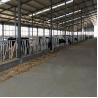 Buy cheap ISO9001 600cm Self Locking Head Gates For Cattle Farm Animals Equipment from wholesalers