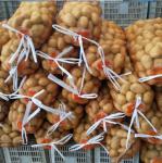 Industrial Agriculture 50x80 cm PP PE Fresh Fruit Onion Sacks Packing Leno Mesh