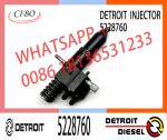 DETRO11T Diesel Fuel Engine Injector Pump N55 5228785 N60 5228760 N70 5228770