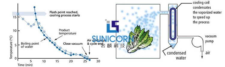 Pre Cooling Lettuce Vacuum Cooler Keep Vegetables In Good Marketable Condition