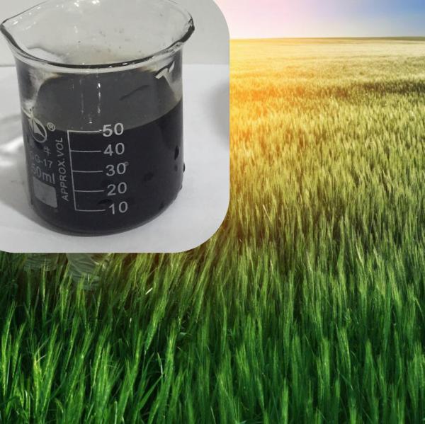 Buy cheap Liquid Compound Amino Acid Chelated Micronutrients Calcium Magnesium from wholesalers