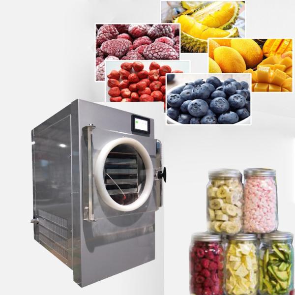 Buy cheap Lyophilization Small Freeze Dryer For Food Vegetable Fruit from wholesalers