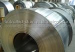 Metal Stamping 304 316 Stainless Steel Strips / Thin Stainless Steel Sheet