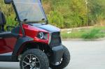 Electric Single Seat Fully Customizable Rario Golf Cart Vintage 8 Seater