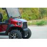 Buy cheap Electric Single Seat Fully Customizable Rario Golf Cart Vintage 8 Seater Capacity from wholesalers