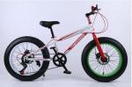 Steel Frame 21 Speed 26 Inch Electric Fat Bike