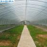 Buy cheap Agricultural Singlespan Tunnel Plastic Film Tropical Greenhouse from wholesalers