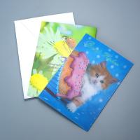 Buy cheap Factory Hot Sale Custom Kpop 3D Lenticular Printing Postcard/ Business Card product