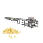 1000mm Chocolate Chip Making Machine