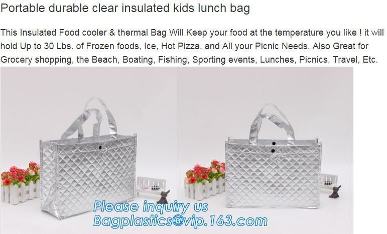 600D polyester ice carry thermal insulation cooler backpack for travel picnic,promotional 600D polyester folding Insulat